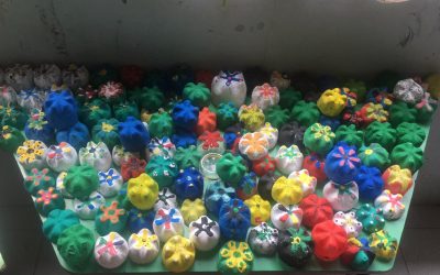 WhatsApp Image 2022-08-23 at 1.00.14 PM