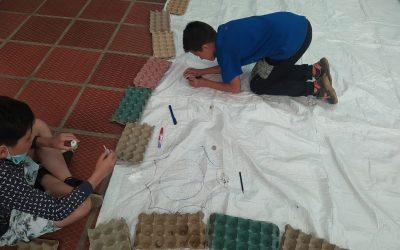 WhatsApp Image 2022-08-31 at 11.13.11 AM (1)