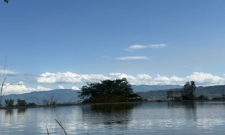 Empresas Públicas de Cundinamarca conmemora la Semana Mundial del Agua con acciones integrales para la vida y el desarrollo sostenible