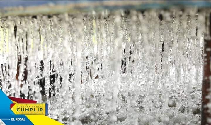 54520983_2202660283143428_2519733329742266368_n